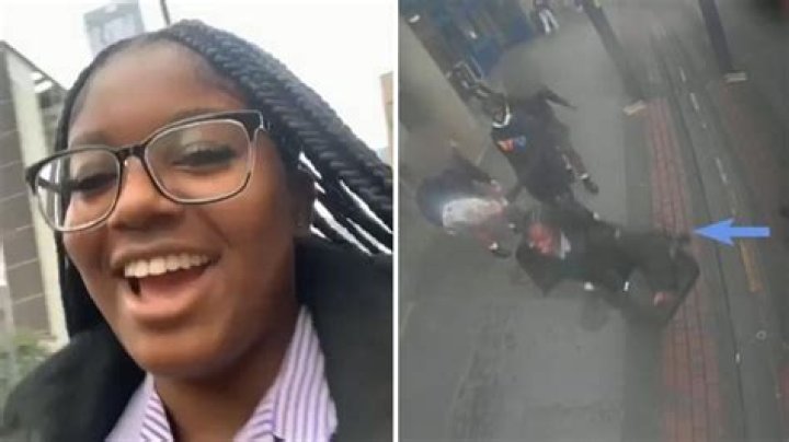 
Chicago Woman, 61, Arrested After She Allegedly Stabbed 15-Year-Old Girl’s Dog During Walk 